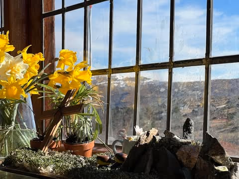 Fellesskap og leir på Wallemtunet