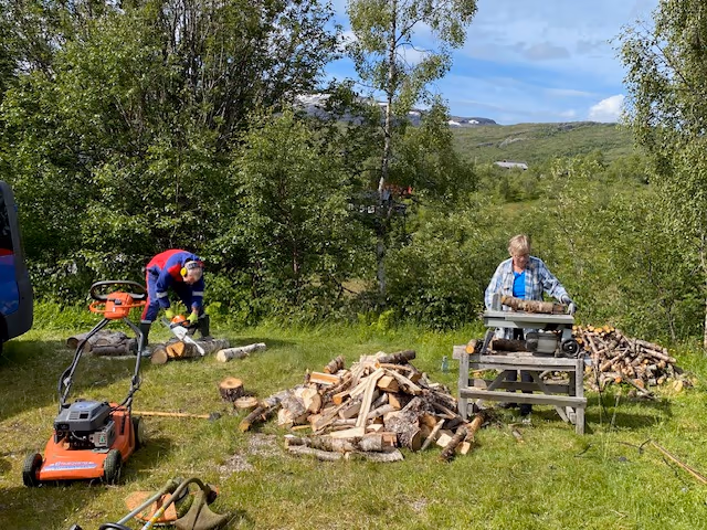 Dugnad på Wallemtunet