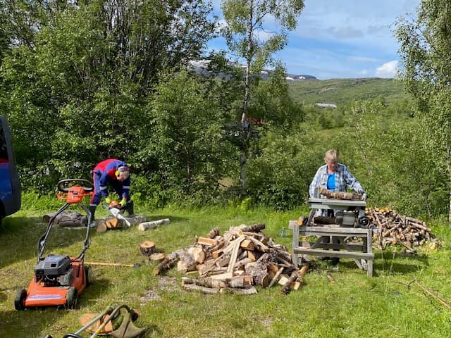 Dugnad på Wallemtunet