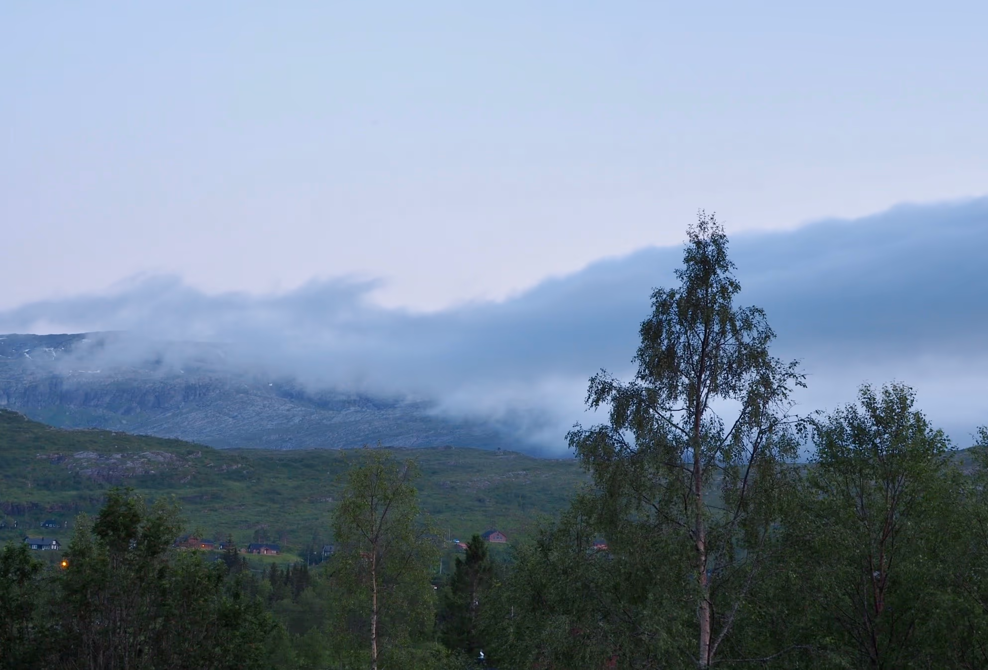 Skog og terreng ved Kvamskogen