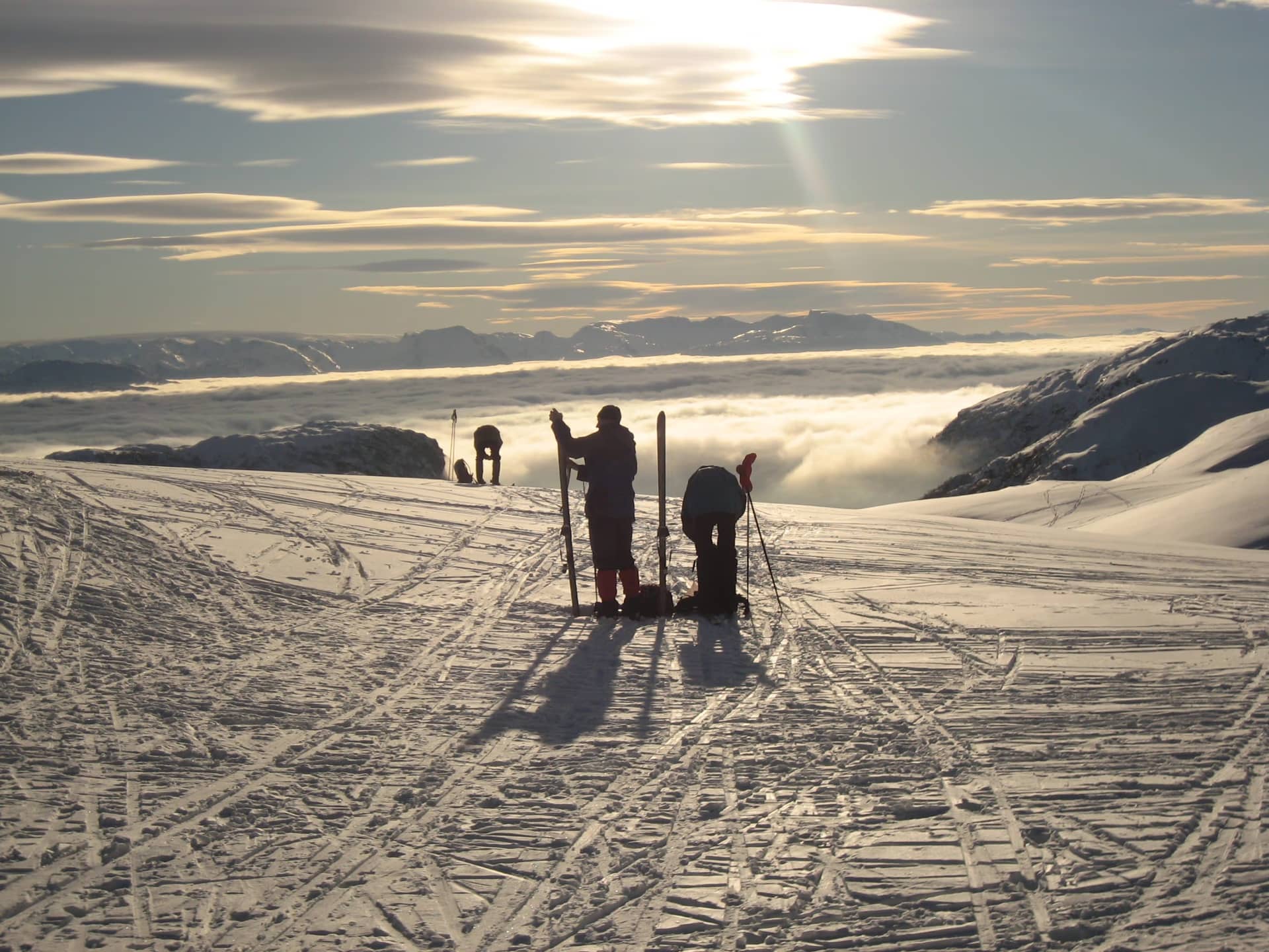 Landskap og grønne tre ved Kvamskogen